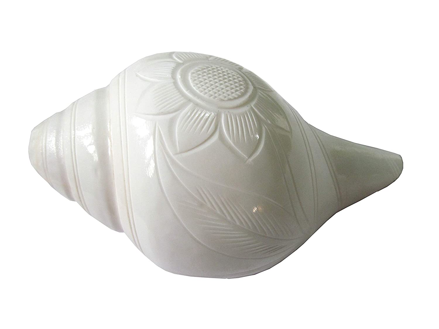 Engraved Premium Natural Conch Shell Loud Blowing Shankh